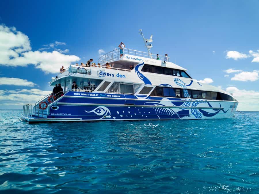 Cairns: 4-Day PADI Open Water Course - What you see on the Great Barrier Reef