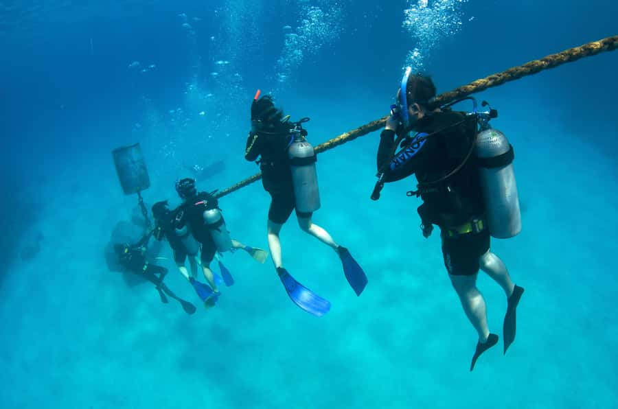 Cairns: 4-Day PADI Open Water Course - Medical rules and who should book