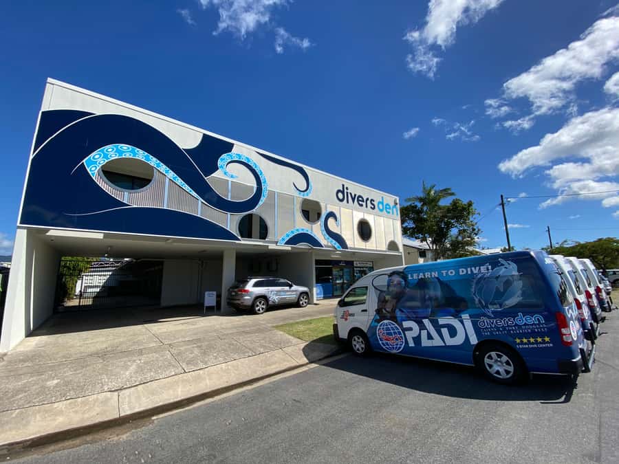 Cairns: 4-Day PADI Open Water Course - Day one: paperwork, theory, and your first pool skills