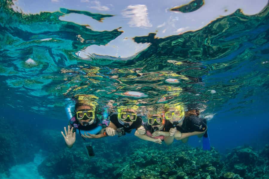 Cairns: Best Value All-inclusive Reef Trip With Scuba Dive - The early start at Marlin Marina