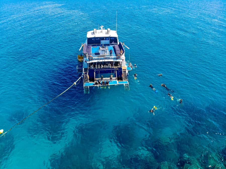 Cairns: Best Value All-inclusive Reef Trip With Scuba Dive - Lunch with a view of the reef