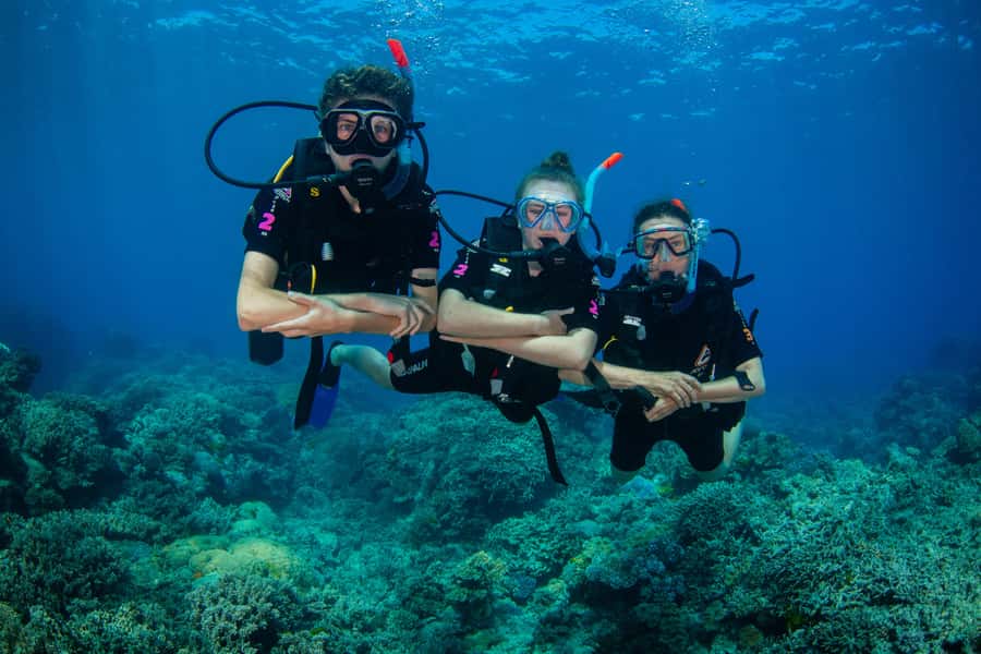 Cairns: Best Value All-inclusive Reef Trip With Scuba Dive - The second reef site offers more water time