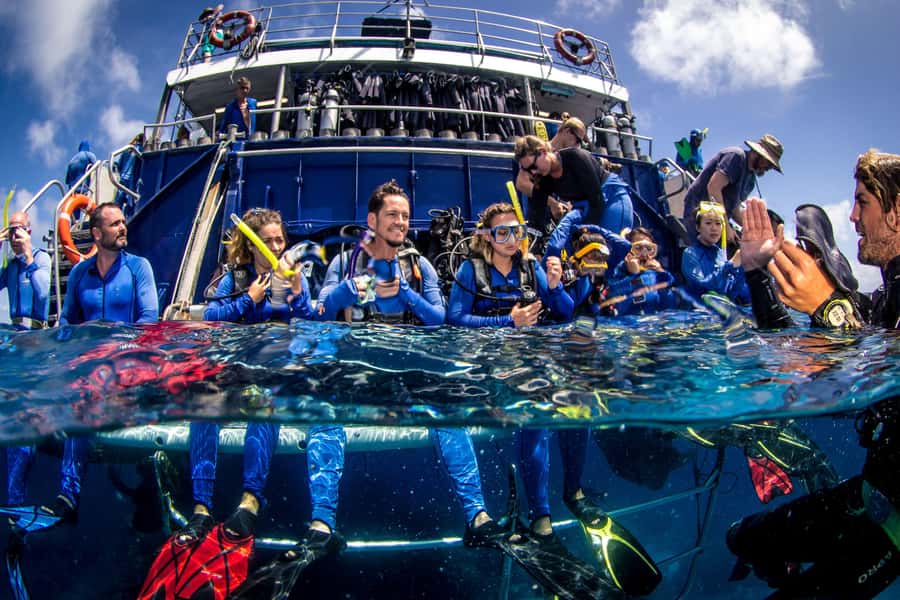 Cairns: Best Value All-inclusive Reef Trip With Scuba Dive - Breakfast and a useful marine life briefing