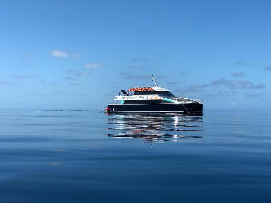 Cairns: Great Barrier Reef Premium Diving Full Day Tour - The first reef stop: coral gardens and an easy start
