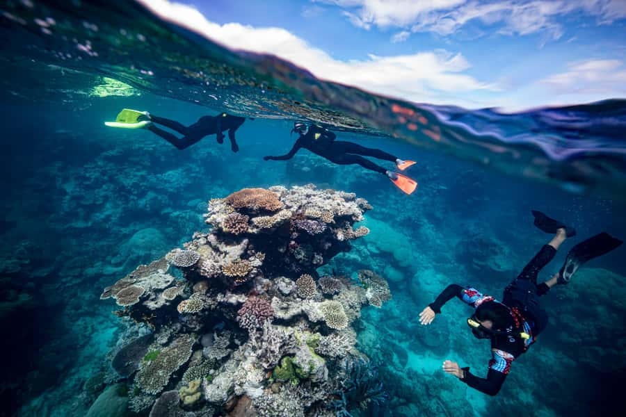 Cairns: Great Barrier Reef Premium Diving Full Day Tour - Adding a first scuba session