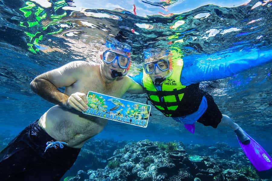 Cairns: Great Barrier Reef Premium Diving Full Day Tour - Food, tea, and the practical value of $127