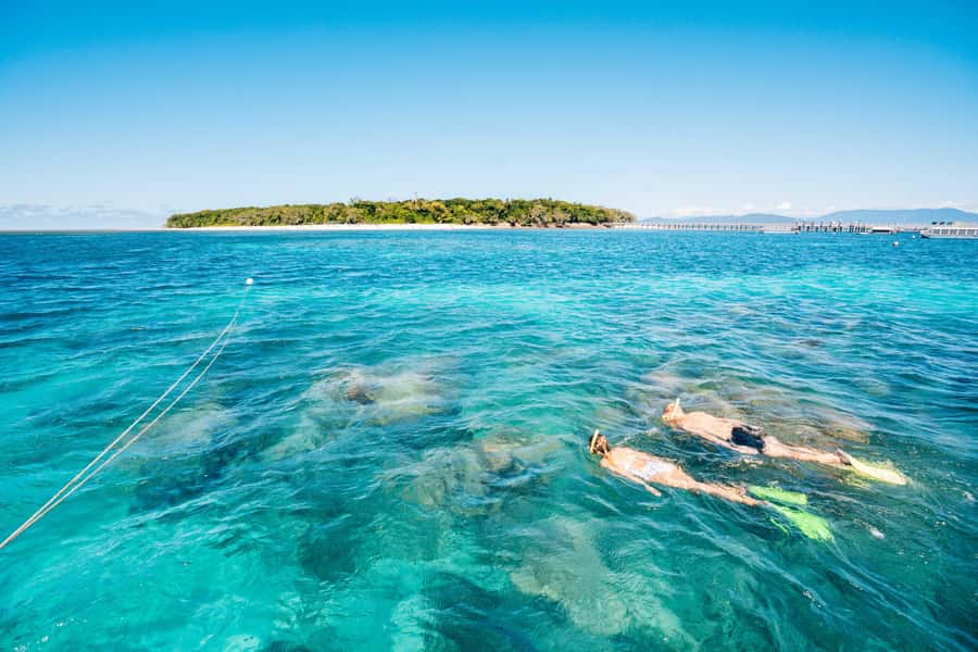 Cairns: Green Island and Seawalker Helmet Dive Combo - Choosing between glass-bottom viewing and snorkeling