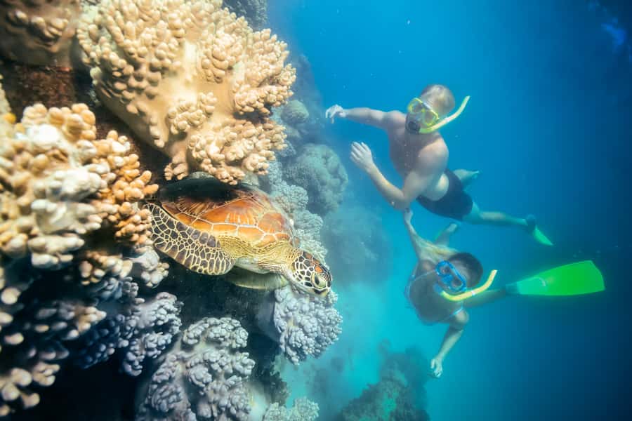 Cairns: Green Island and Seawalker Helmet Dive Combo - FAQ