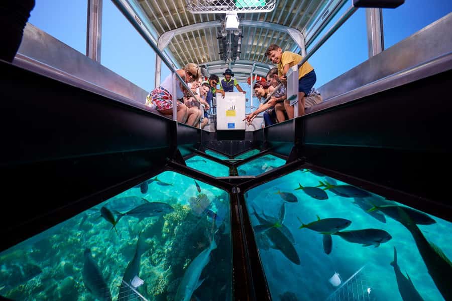 Cairns: Green Island Full-Day Tour with Diving - Key points to know before booking