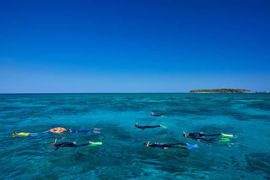 Cairns: Green Island Full-Day Tour with Diving - Snorkeling over coral gardens