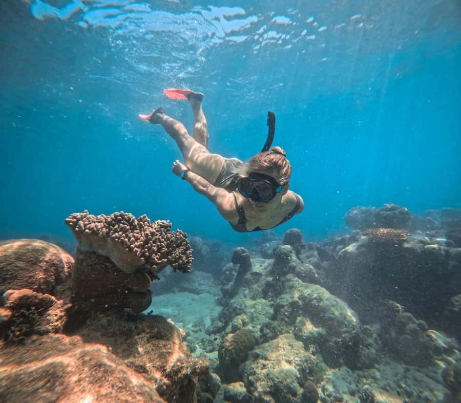 Cairns: Green Island Full-Day Tour with Diving - Scuba options for beginners and certified participants