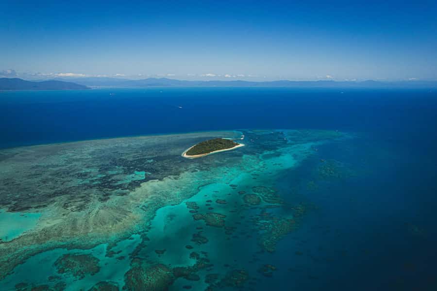 Cairns: Green Island Full-Day Tour with Diving - Buffet lunch and the real value of $175