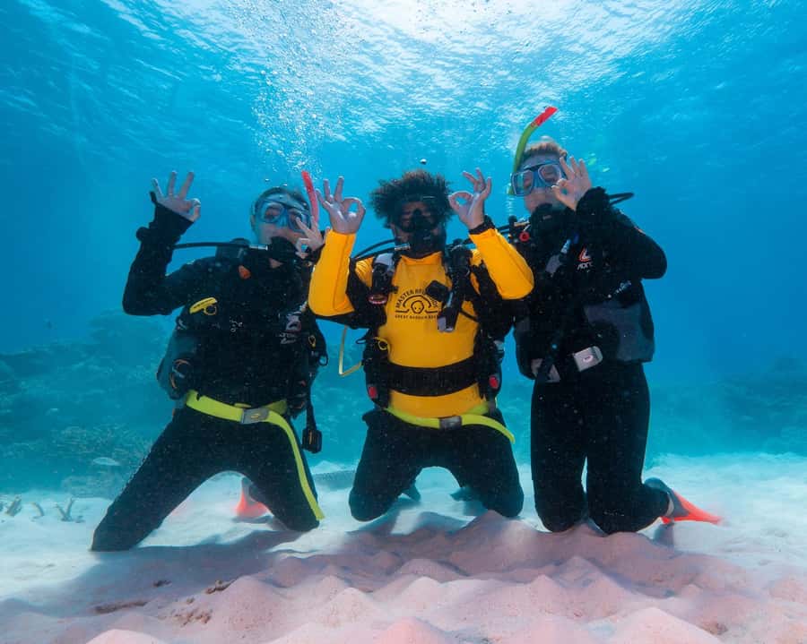 Cairns: Green Island Full-Day Tour with Diving - Who should choose this Green Island experience