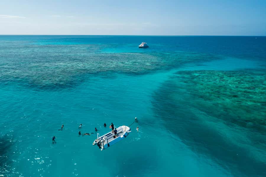 Cairns: Outer and Coral Cay Snorkel and Dive Cruise - Key points worth knowing before you book