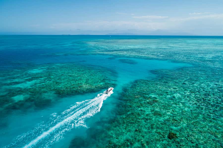 Cairns: Outer and Coral Cay Snorkel and Dive Cruise - Wonder Wall, where the reef drops away