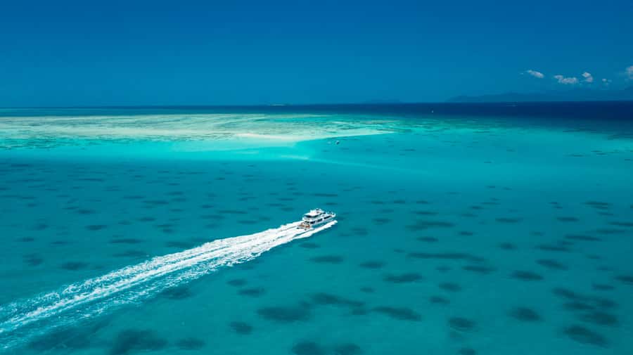 Cairns: Outer and Coral Cay Snorkel and Dive Cruise - The glass-bottom boat is more than a backup