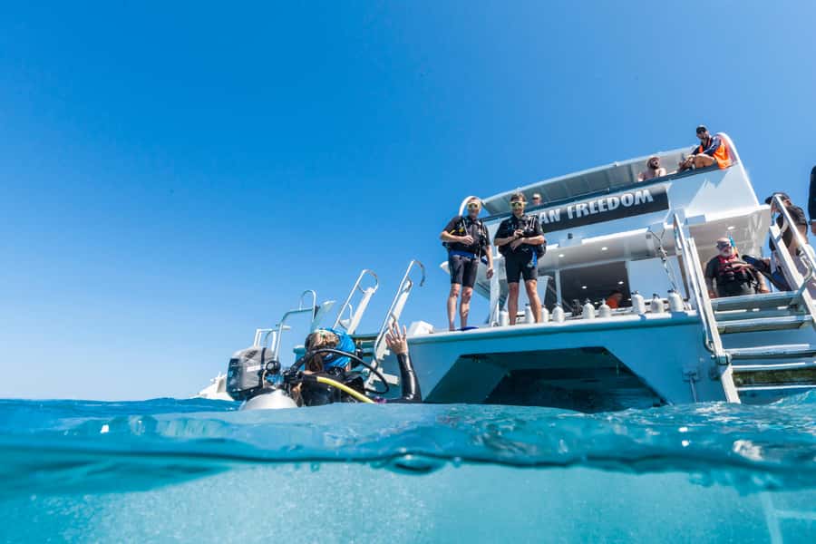 Cairns: Outer and Coral Cay Snorkel and Dive Cruise - The crew makes the difference