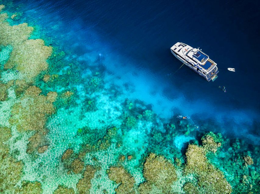 Cairns: Premium Snorkelling and Diving Reef Day Trip - Should you book AquaQuest?