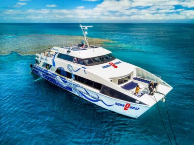 Premium Snorkelling and Diving Reef Day Trip