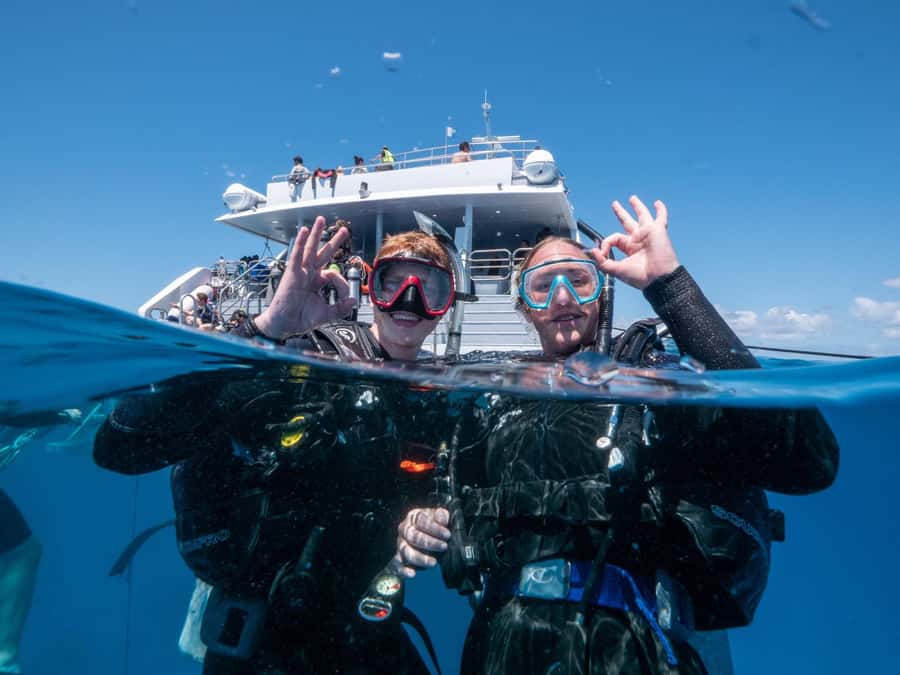 Cairns: Premium Snorkelling and Diving Reef Day Trip - The second reef site and the afternoon pace