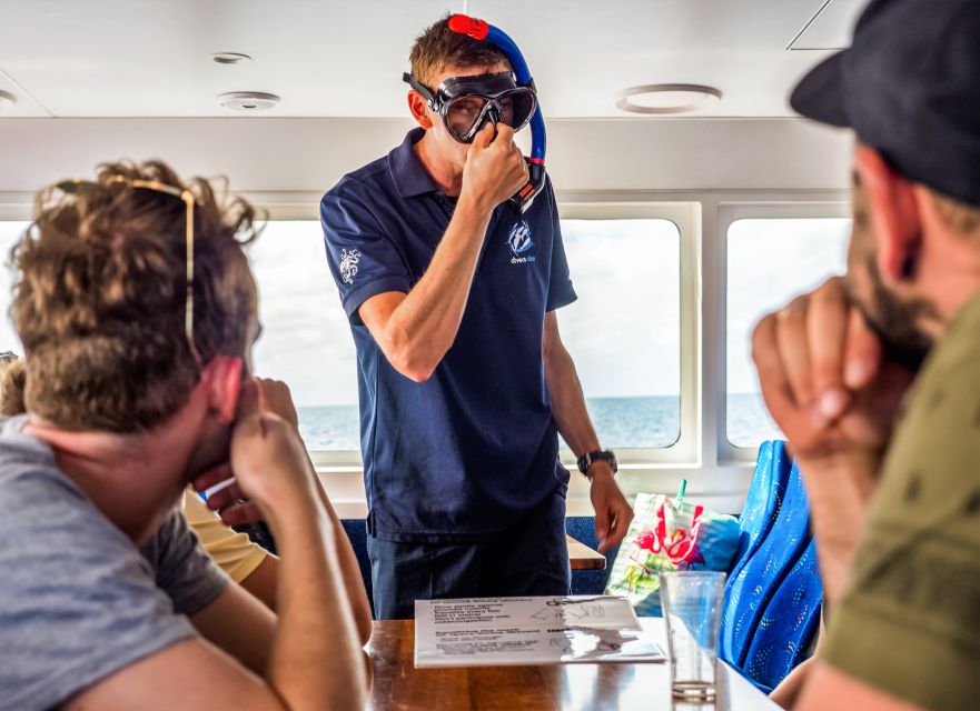 Cairns: Premium Snorkelling and Diving Reef Day Trip - Equipment and support for first-time participants
