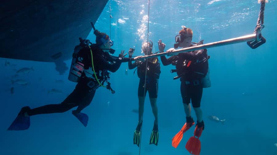 Cairns: Premium Snorkelling and Diving Reef Day Trip - Is $166 good value?