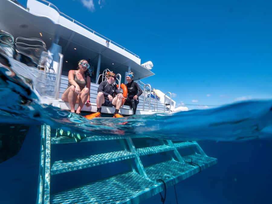 Cairns: Premium Snorkelling and Diving Reef Day Trip - Who should book this reef day?