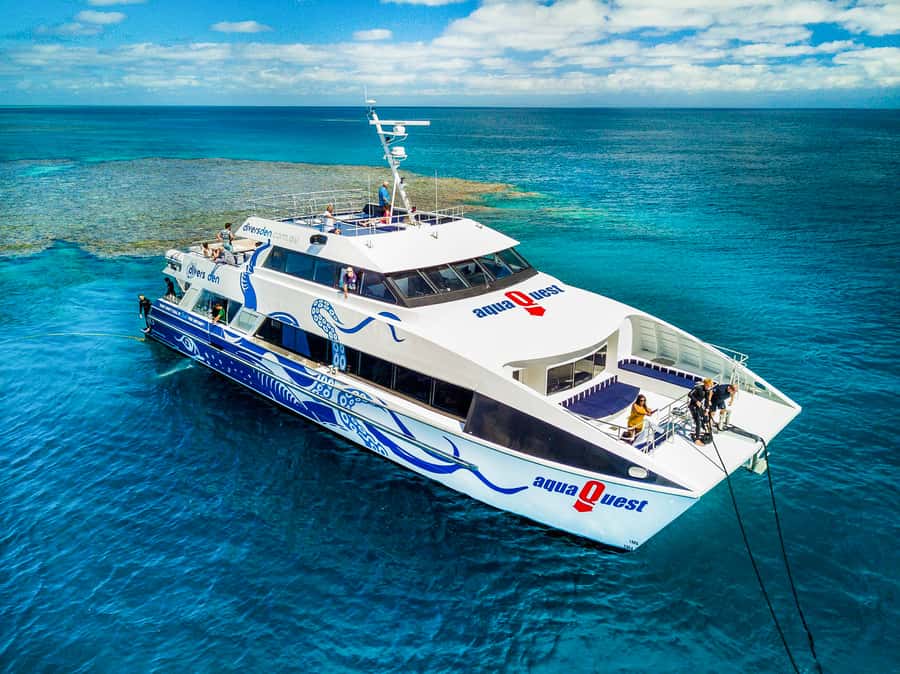 Cairns: Premium Snorkelling and Diving Reef Day Trip - The 90-minute trip from Cairns