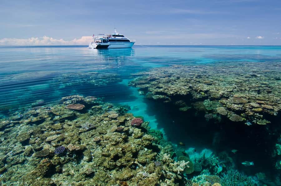 Cairns: Pro Dive Great Barrier Reef 3 Day/2 Night Dive Trip - Four Outer Reef locations and 19 exclusive sites