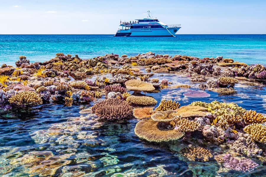 Cairns: Pro Dive Great Barrier Reef 3 Day/2 Night Dive Trip - Food, staff, and course options