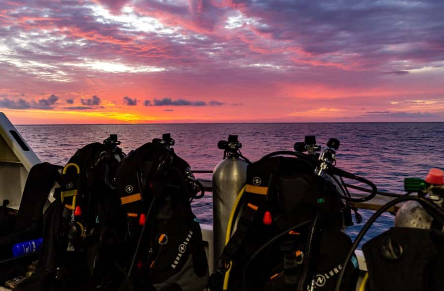 Cairns: Pro Dive Great Barrier Reef 3 Day/2 Night Dive Trip - Is AUD $739 good value?