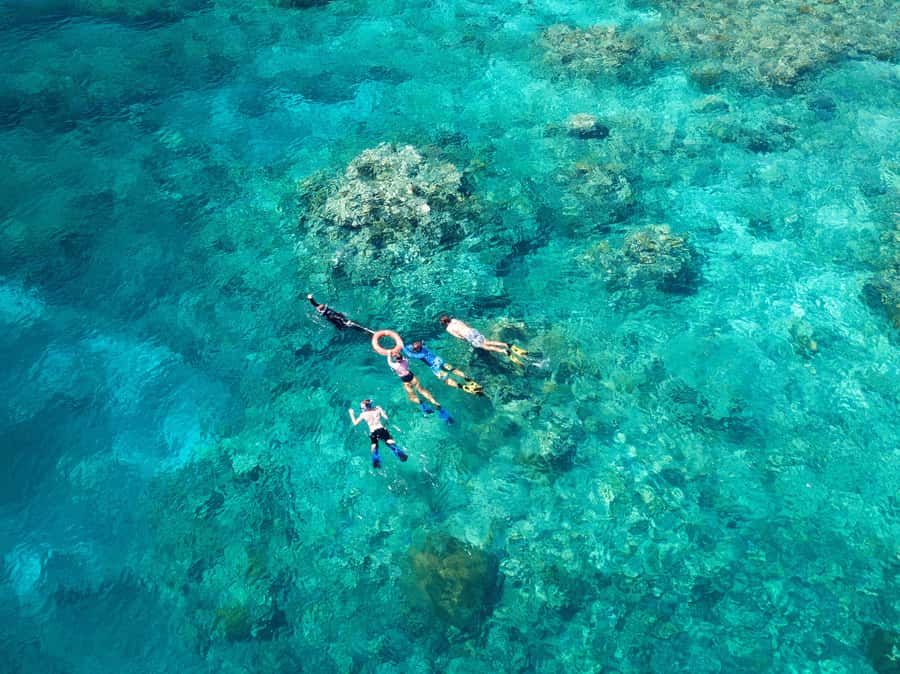 Cairns: Snorkelling and Diving Reef Day Trip - What happens during the 90-minute boat ride
