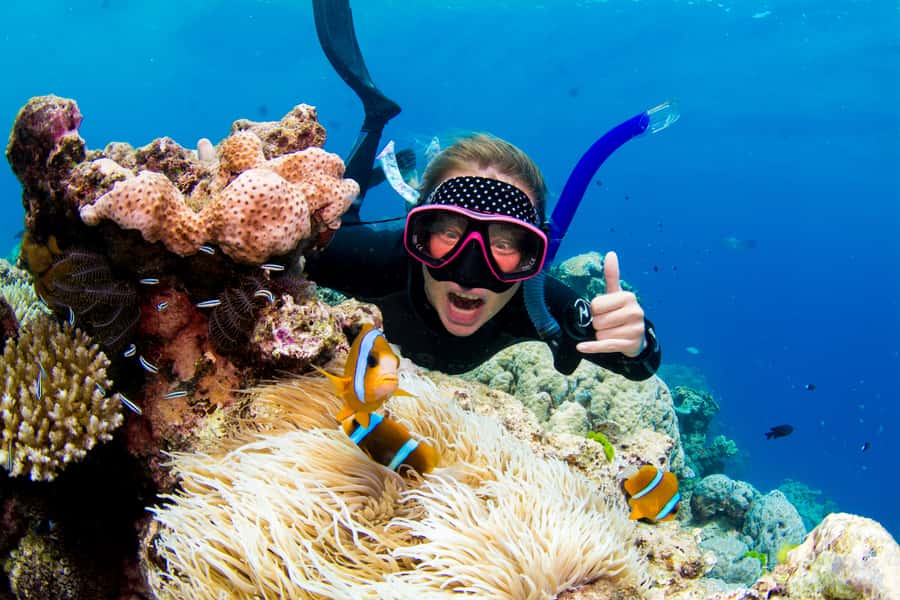 Cairns: Snorkelling and Diving Reef Day Trip - First impressions at the Outer Great Barrier Reef