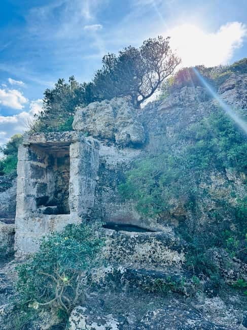 Cala en Blanes: Secret spots for the best dives with a local guide - Starting at Carrer Clot d’en Barceló
