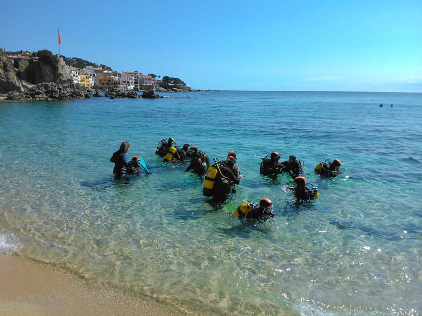 Calella de Palafrugell : Discover Scuba Diving Experience - The first 25-minute session builds confidence