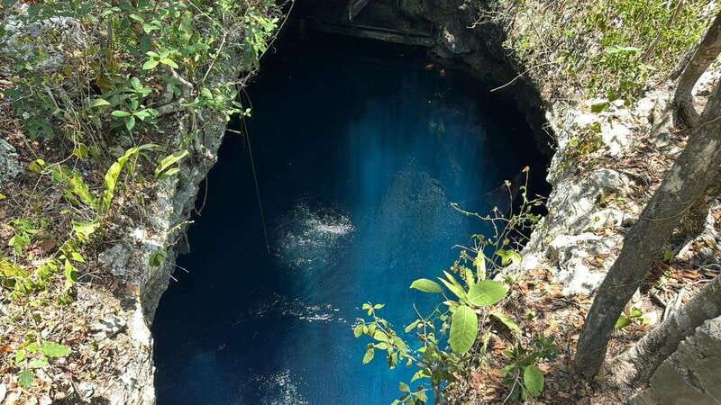 Cancun 2 Cenote Dives: The Pit & Dos Ojos - Certified Divers - Starting from Cancun with transport included