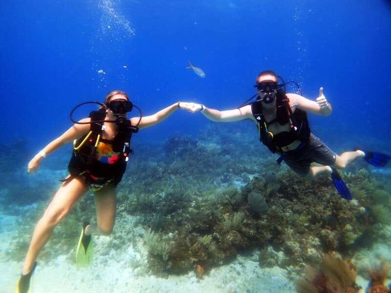 Cancun: 2-Tank Dive for Beginners with MUSA and Reef Dive - Who will enjoy this best?