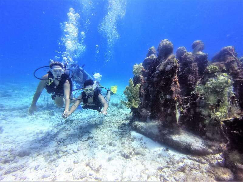Cancun: 2-Tank Dive for Beginners with MUSA and Reef Dive - The 30-minute boat ride to the first site