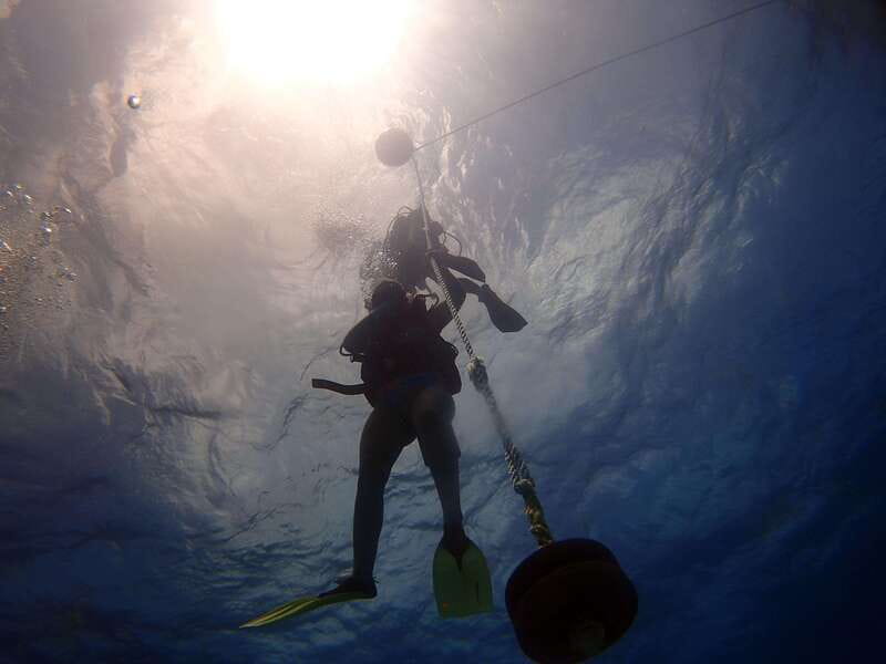 Cancun: 2-Tank Dive for Beginners with MUSA and Reef Dive - MUSA: Cancun’s underwater sculpture museum