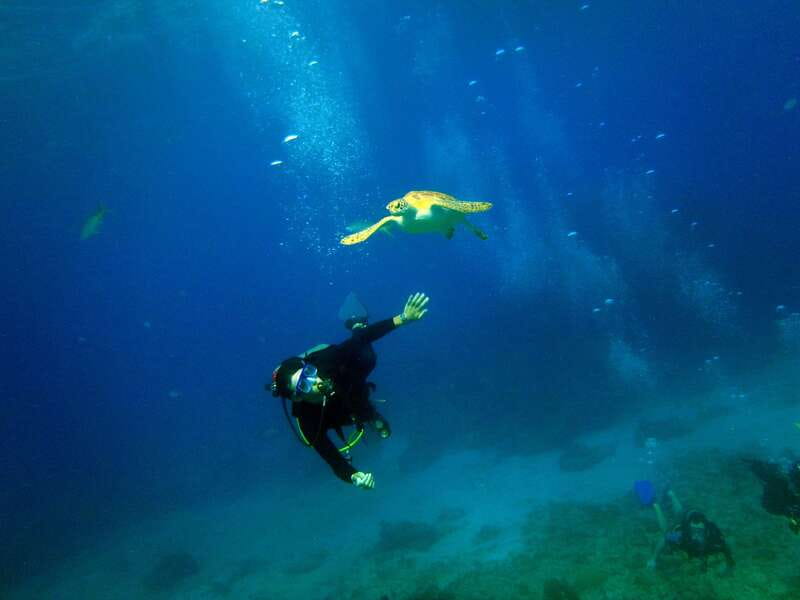 Cancun: 2-Tank Dive for Beginners with MUSA and Reef Dive - Starting with the lesson and pool practice