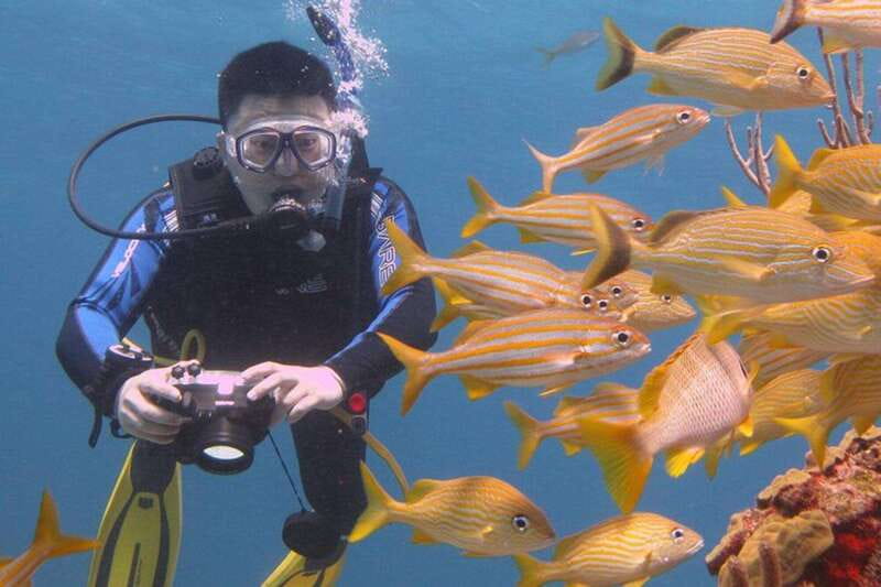 Cancun: Beginner Scuba Diving at Underwater Museum - The biggest concern is finding Coconut Divers