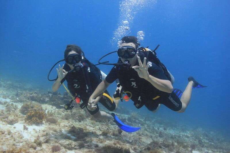 Cancun: Dive Underwater Museum & Manchones Reef - Why the Underwater Museum is the star attraction