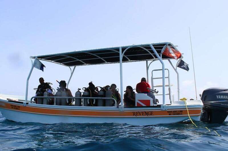 Cancun: Dive Underwater Museum & Manchones Reef - What the small group changes
