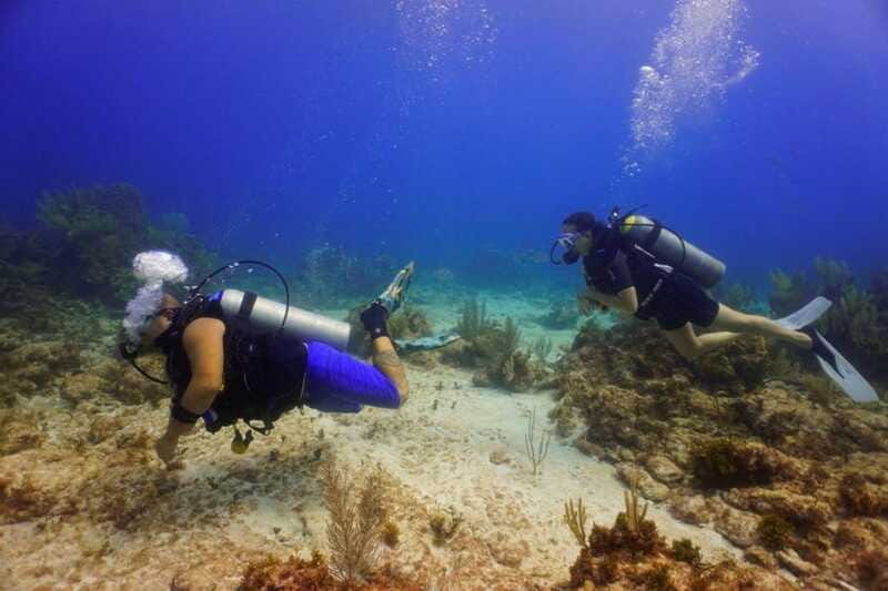 Cancun: MUSA Diving for certified divers morning dive trip - How the $137 price measures up