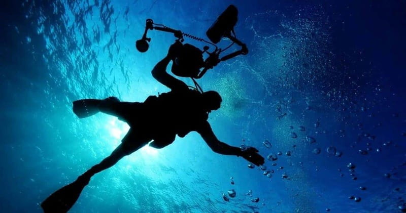 Cancun: MUSA Diving for certified divers morning dive trip - Two underwater sessions, two different moods