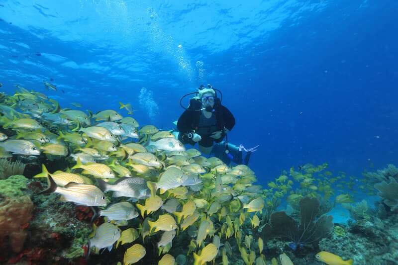 Cancun: Scuba Diving for Beginners, 2 Dives - A first scuba experience built around MUSA