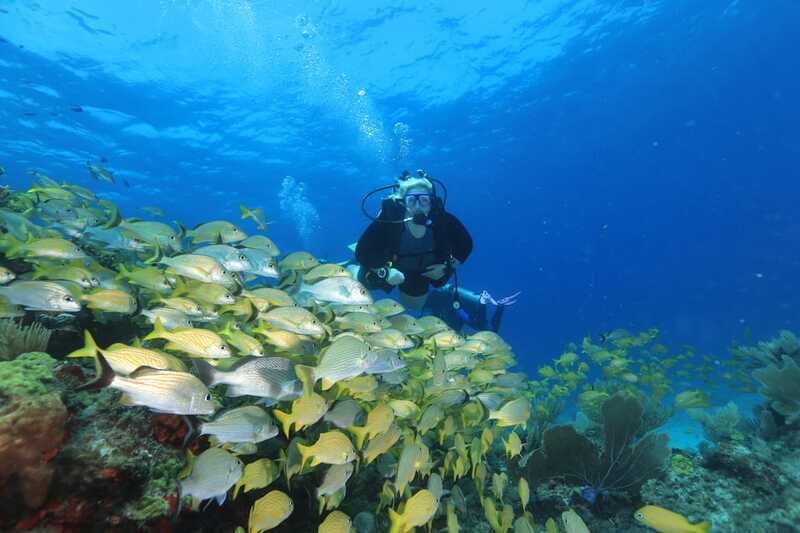 Cancun: Scuba Diving for Beginners, 2 Dives - Is $167 a fair price?