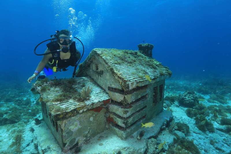 Cancun: Scuba Diving for Beginners, 2 Dives - What happens from 8:00 AM to 1:00 PM