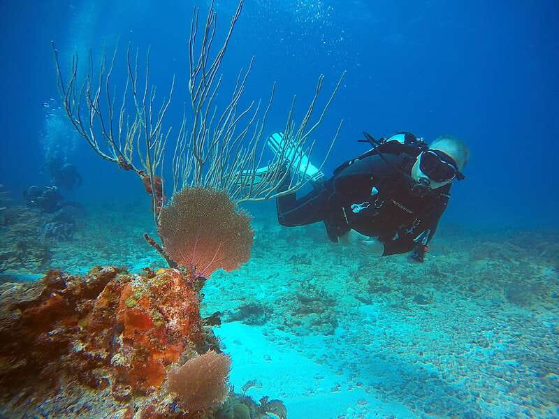 Cancun: Scuba Diving for Certified Divers, 3 options to dive - Who should choose this Cancun outing?