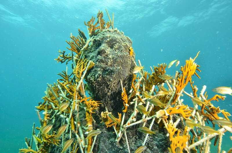 Cancún: Underwater Museum & Reef for Certified Scuba Divers - Why MUSA makes this more than a standard reef outing